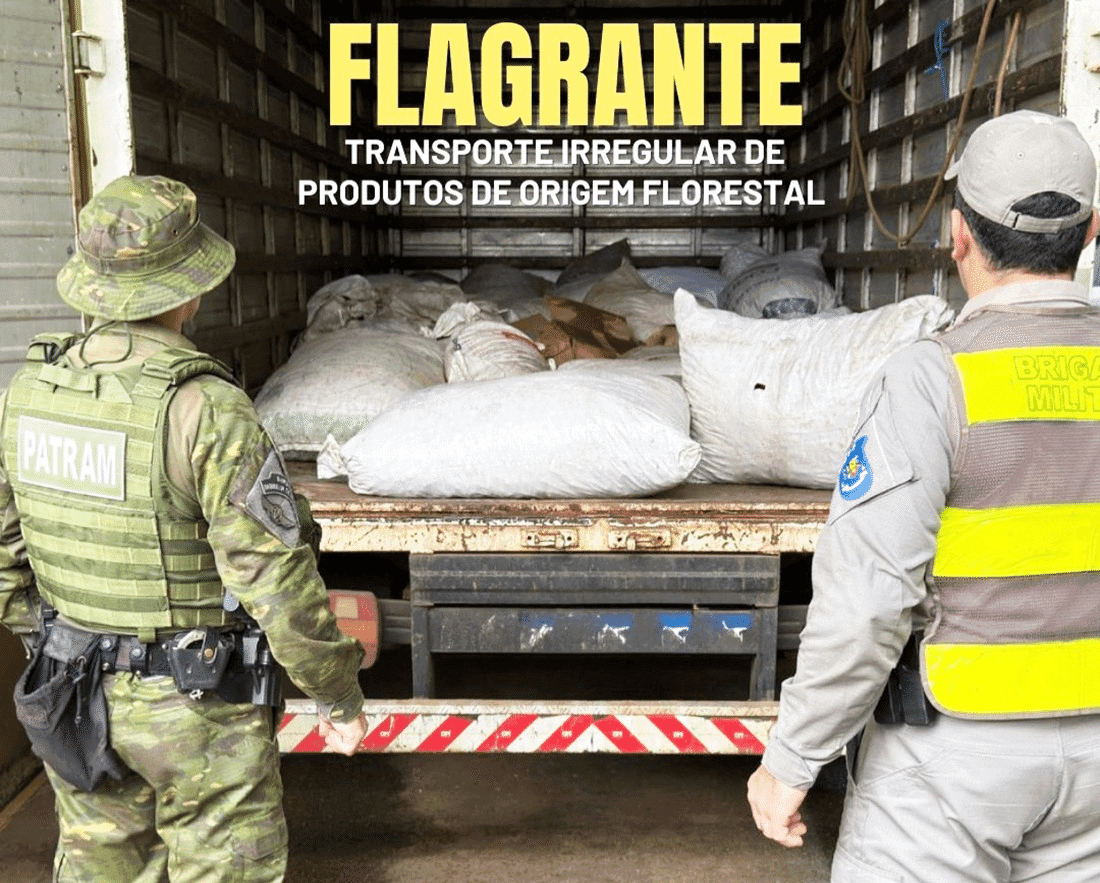 Duas toneladas de pinhão transportadas de forma irregular são apreendidas em Iraí