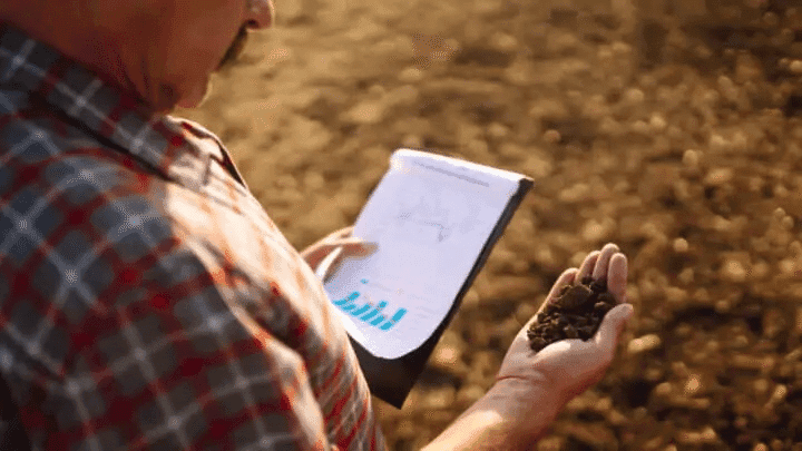 Sistema de monitoramento ambiental trava financiamentos para agricultura familiar