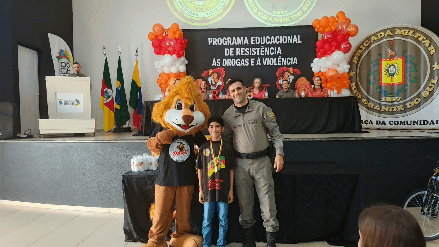 Imagem 11