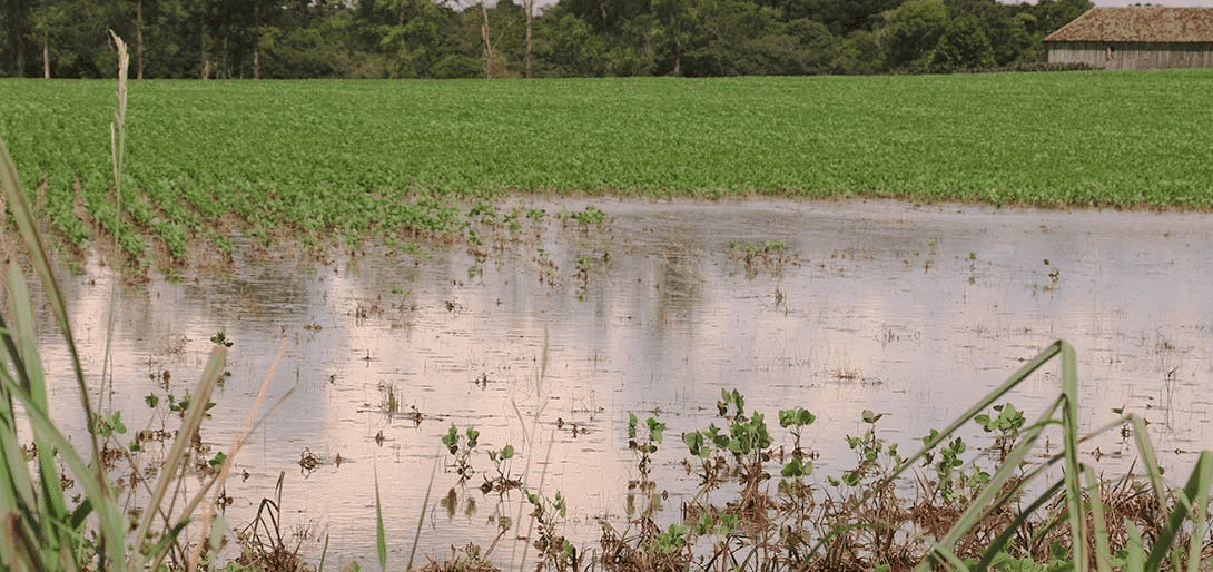 Levantamento da Embrapa mostra que mais de meio milhão de hectares foram atingidos pelas enchentes no RS em 2024