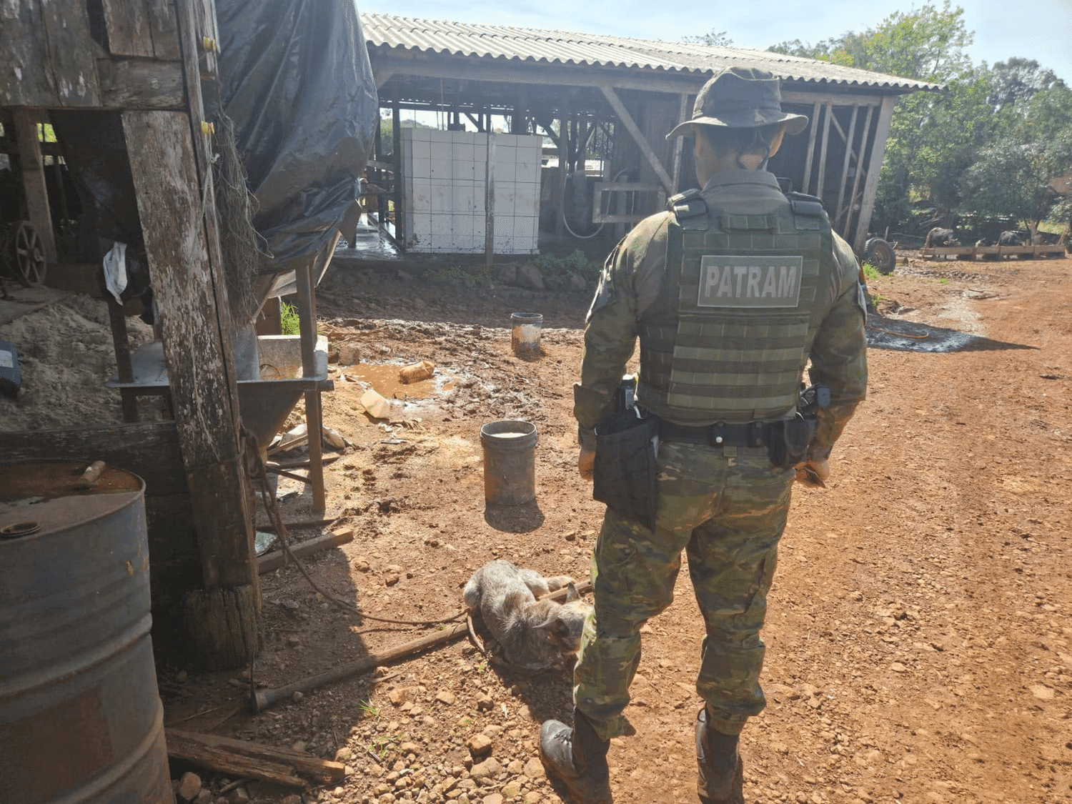 Caso de maus-tratos a animal é registrado em Vista Alegre