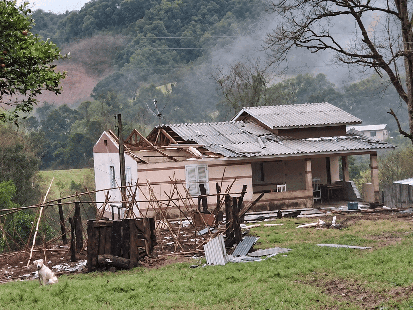 Liberato Salzano decreta situação de emergência com mais de R$ 60 milhões de prejuízos na produção rural