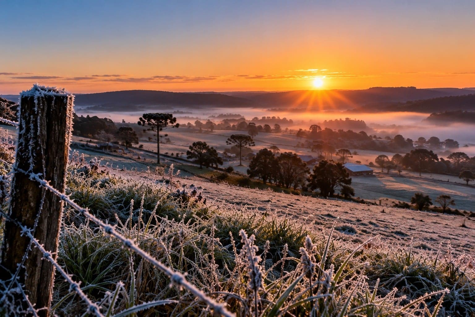 RS registra temperatura de 1ºC e formação de geada em plena primavera