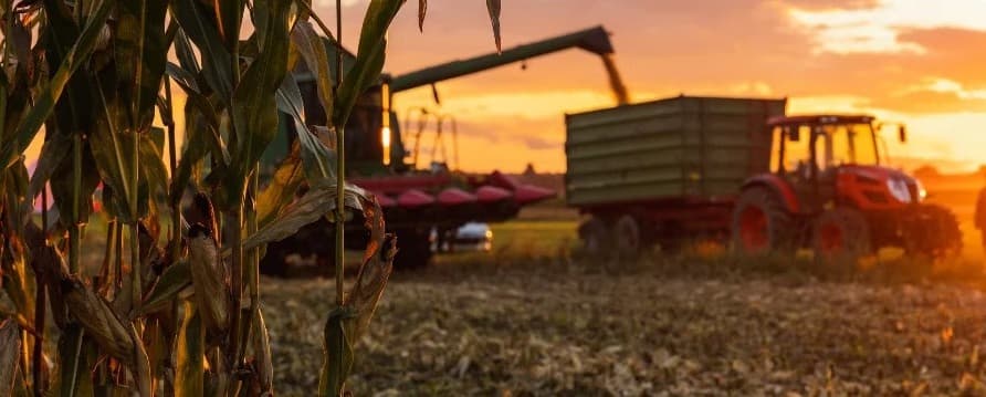 Indenizações do Proagro “terão teto de gastos”