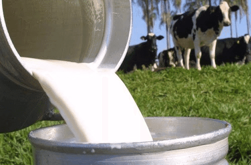 Produtores de leite enfrentam impactos severos diante de crise no setor