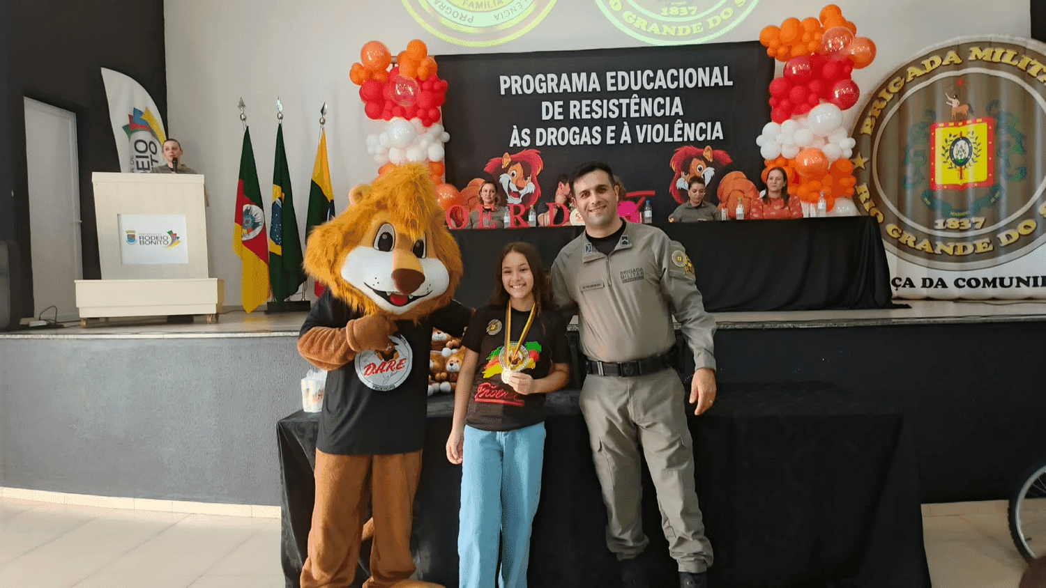 Imagem 12