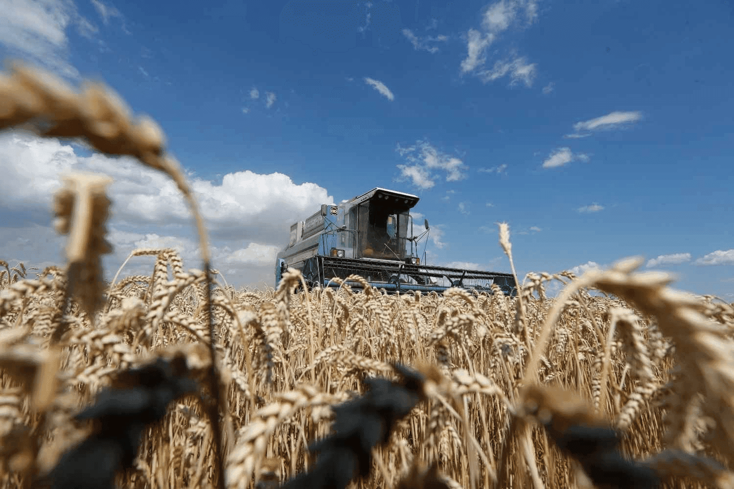 El Niño deve intensificar chuvas na primavera e acende alerta para produtores