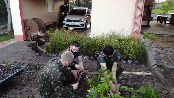 EXÉRCITO BRASILEIRO RETIRA MUDAS NO HORTO FLORESTAL DA CRELUZ