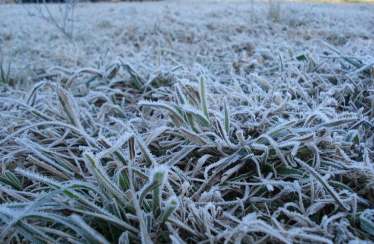 Frio congelante deve seguir no RS com temperatura negativa nos próximos dias