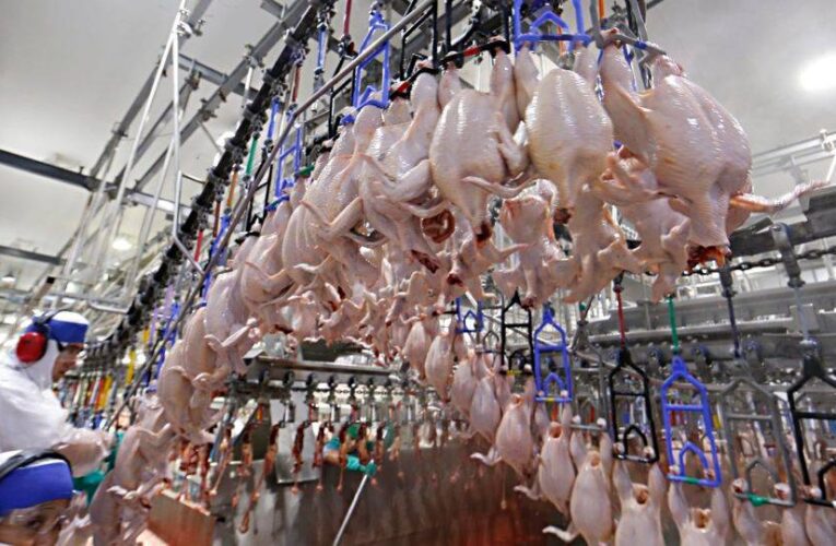 Exportações gaúchas de frango devem resistir ao clima desfavorável