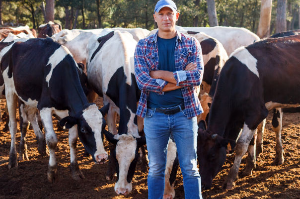 Nova rodada de negociações e promessas para socorrer produtores de leite