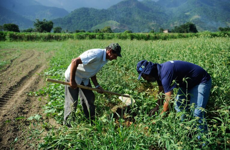 Plataforma do Desenrola renegociará dívidas de agricultores familiares