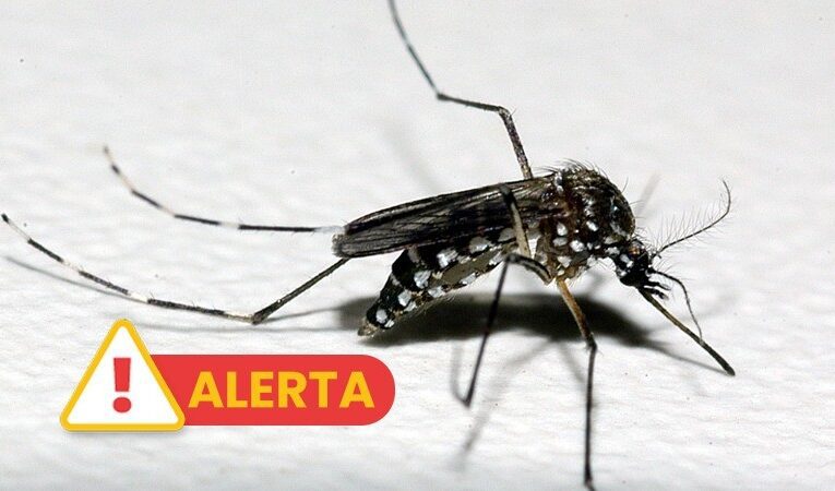 BRASIL JÁ REGISTRA METADE DOS CASOS DE DENGUE CONTABILIZADOS EM 2023.