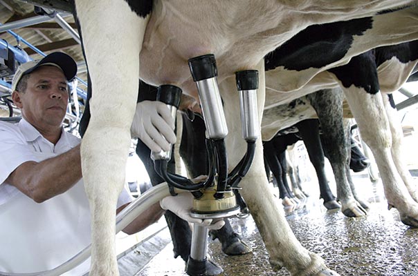 GOVERNO FEDERAL ANUNCIA MEDIDAS PARA MANTER A PRODUÇÃO E O ABASTECIMENTO DE LEITE APÓS A CATÁSTROFE NO RS