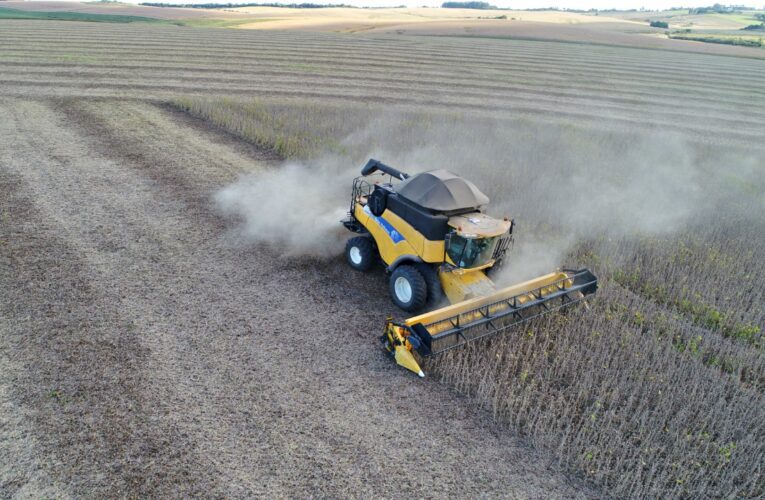 COLHEITA DA SOJA AVANÇA NO RS, MAS PERDA DE QUALIDADE CASTIGA AGRICULTOR