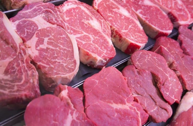 PRODUÇÃO RECORDE DE CARNE BOVINA GARANTE EXPORTAÇÕES E AUMENTO NA OFERTA DO PRODUTO NO MERCADO INTERNO