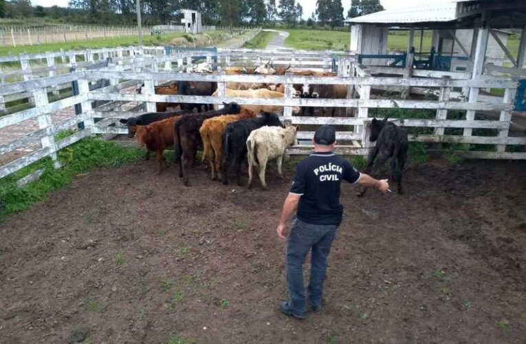 CRIMES DE FURTO DE GADO CHEGA AO MENOR ÍNDICE DESDE 2014 NO ESTADO DO RS