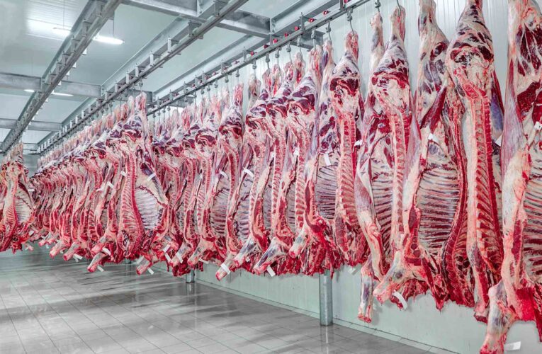 EXPORTAÇÃO DE CARNE BOVINA DEVE BATER RECORDE