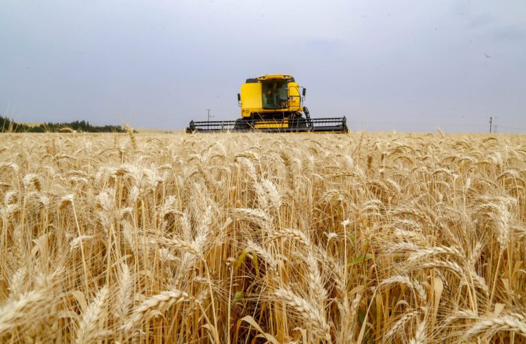 GOVERNO FEDERAL PUBLICA LEI PARA DESTRAVAR MEDIDAS DE SOCORRO PARA A AGROPECUÁRIA