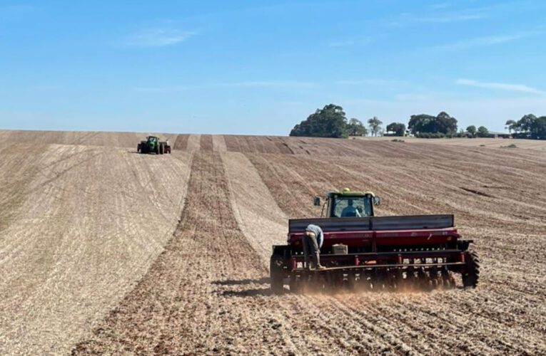 CUSTO DE PRODUÇÃO NAS LAVOURAS NO RS CAI 0,59%